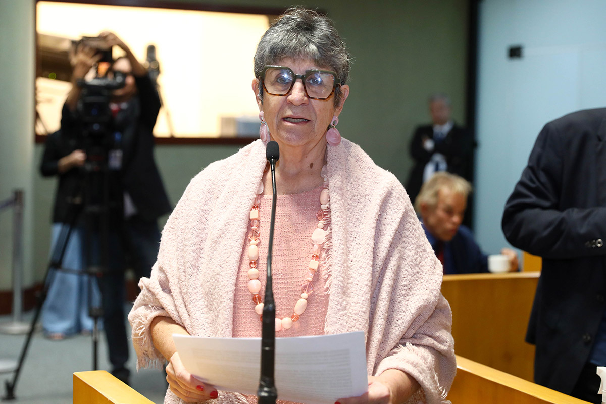 Deputada Iriny Lopes propõe excluir agressores de ações culturais com recursos públicos no ES. Foto: Foto: Kamyla Passos (Ales)