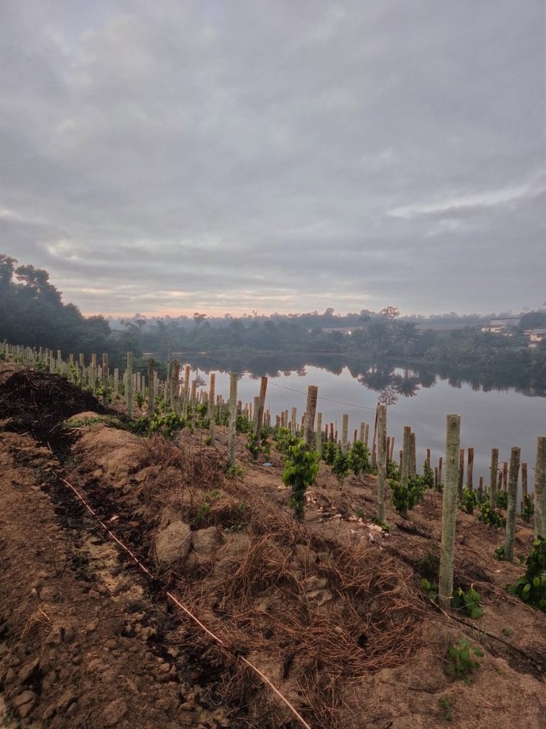 Barragem São Geraldo: paisagem bucólica no norte capixaba