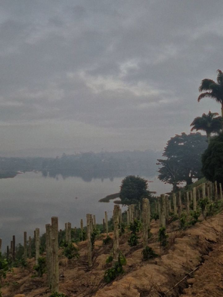 Barragem São Geraldo: paisagem bucólica no norte capixaba