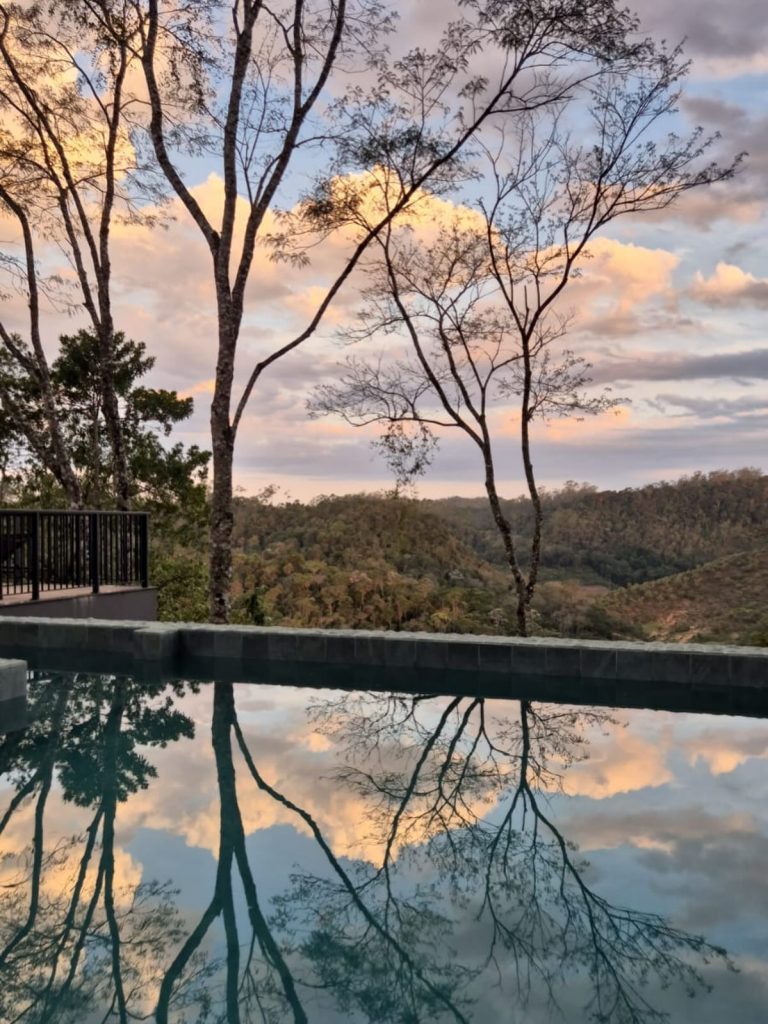 Rota dos Ipês é espetáculo natural pelas montanhas de Domingos Martins Rota dos Ipês é espetáculo natural pelas montanhas de Domingos Martins