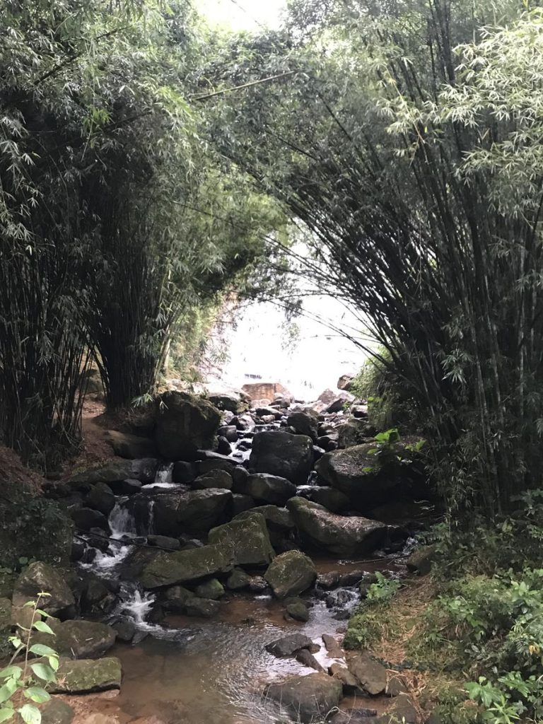 Conheça o Circuito do Galo, rota de agroturismo em Domingos Martins