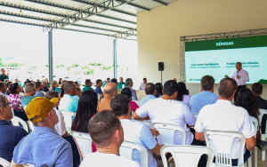 Pimenta-do-reino ganha força com união entre cooperativas capixabas