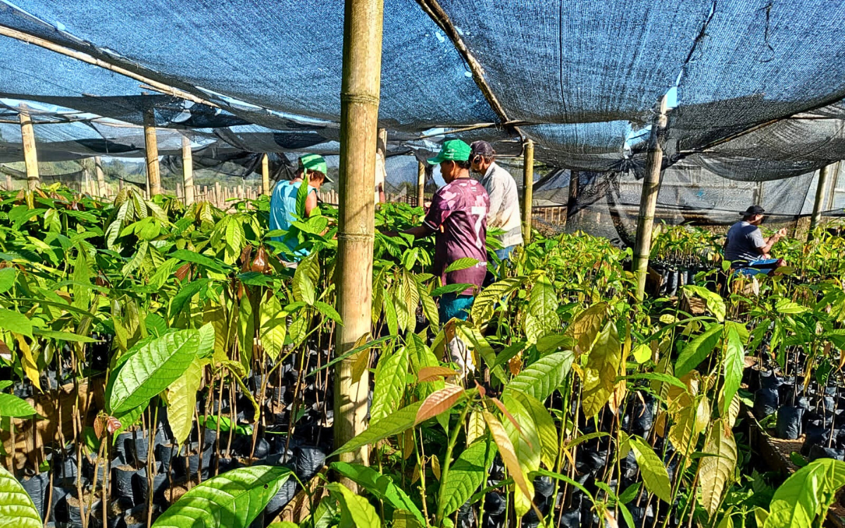 Novembro promete ser um bom mês para a agricultura. Foto: Incaper/Seag