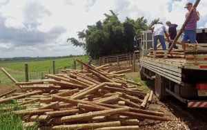 No agro, a celulose de eucalipto está entre os setores afetados. Foto: Prefeitura de Aracruz