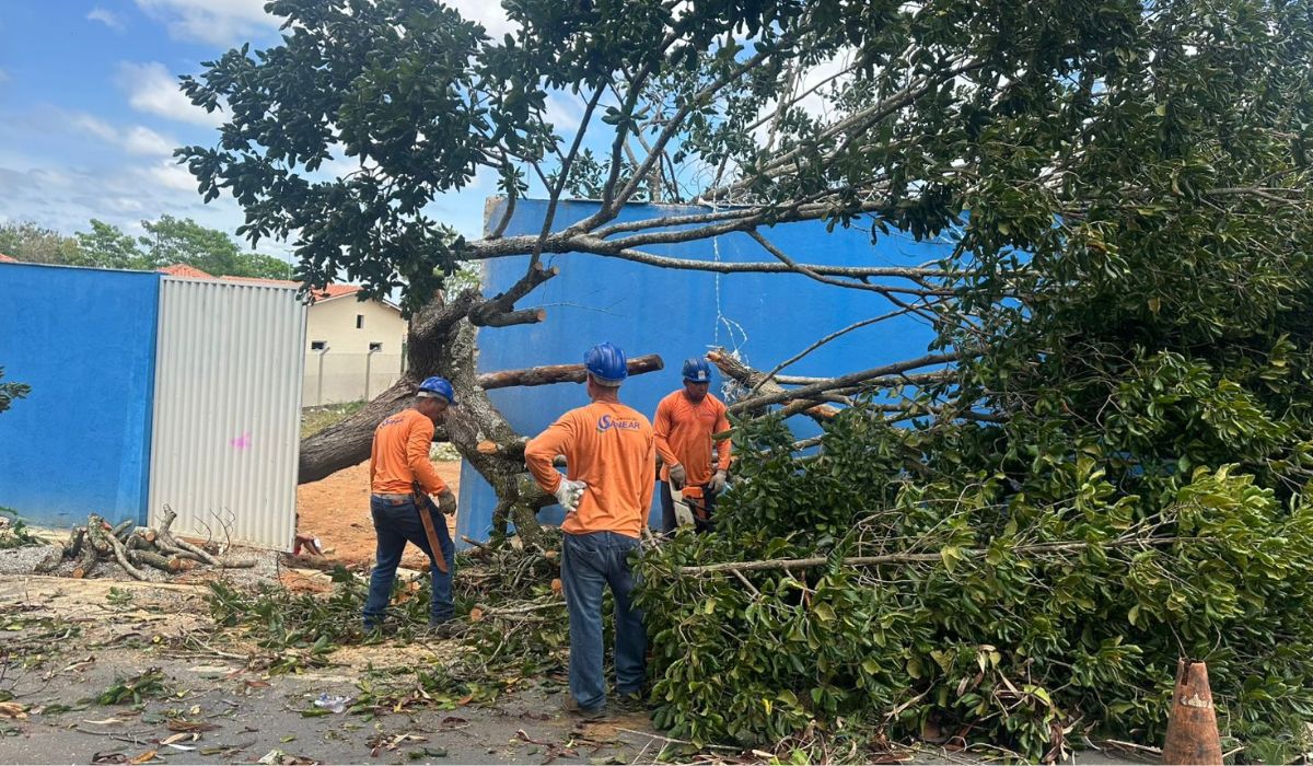 Em Colatina teve queda de árvores. Foto; Prefeitura de Colatina