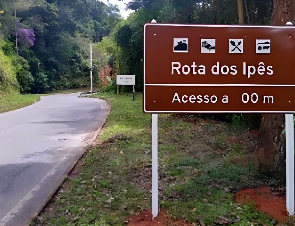 Rota dos Ipês é espetáculo natural pelas montanhas de Domingos Martins A Rota dos Ipês se estende por 7 km a partir da entrada do distrito de Soído, em Domingos Martins. Foto: divulgação