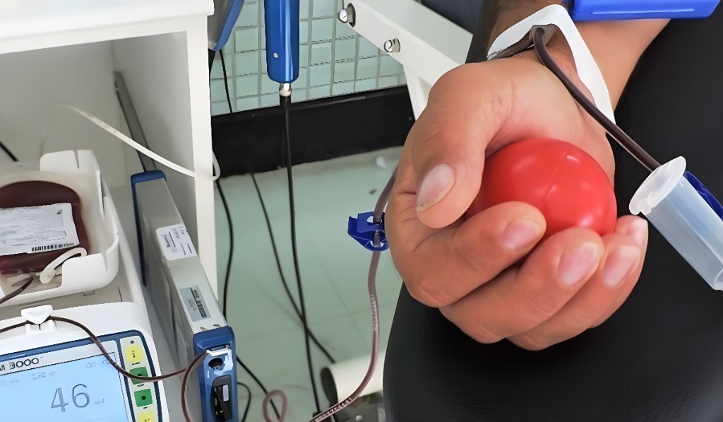 De janeiro a outubro de 2024, o Centro Estadual de Hemoterapia e Hematologia Marcos Daniel Santos (Hemoes), em Vitória, recebeu aproximadamente 51.120 candidatos à doação. Foto: Divulgação | Sesa