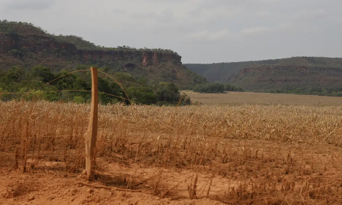 Conflitos agrários no Cerrado maranhense são agravados por morosidade judicial, desmatamento autorizado e grilagem - Foto: Fernando Frazão/Agência Brasil