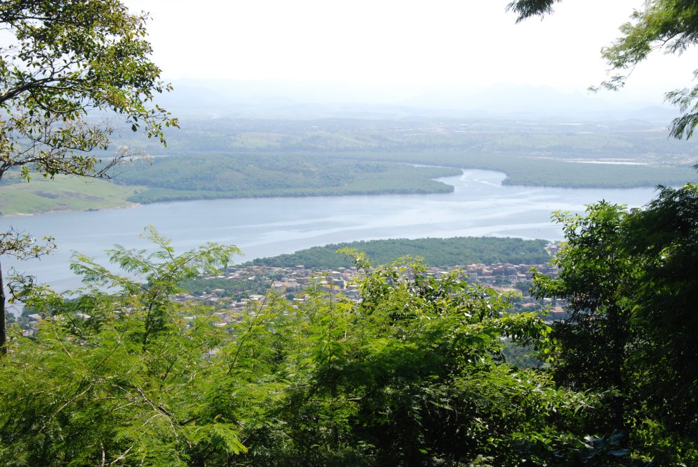 O Ministério do Meio Ambiente e Mudança do Clima (MMA) lançou o Plano Nacional de Arborização Urbana (Planau) na COP30 - Foto: Piwigo