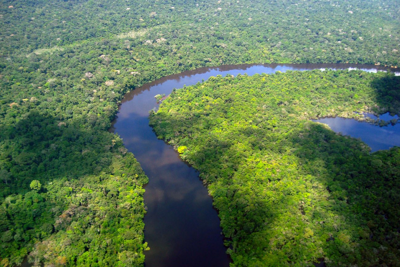 Documento da CNI, a ser lançado na COP30, revela que investir na Amazônia como polo sustentável pode gerar R$ 40 bi ao PIB e criar mais de 312 mil empregos - Foto: Secom/Via Fotos Publicas