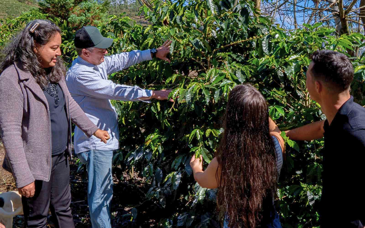 Produtores rurais do Caparaó querem fortalecimento do agroturismo. Foto: Prefeitura de Muniz Freire