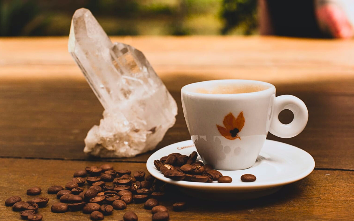 Café capixaba se diferencia por depender das fezes da ave jacu. Foto: Divulgação
