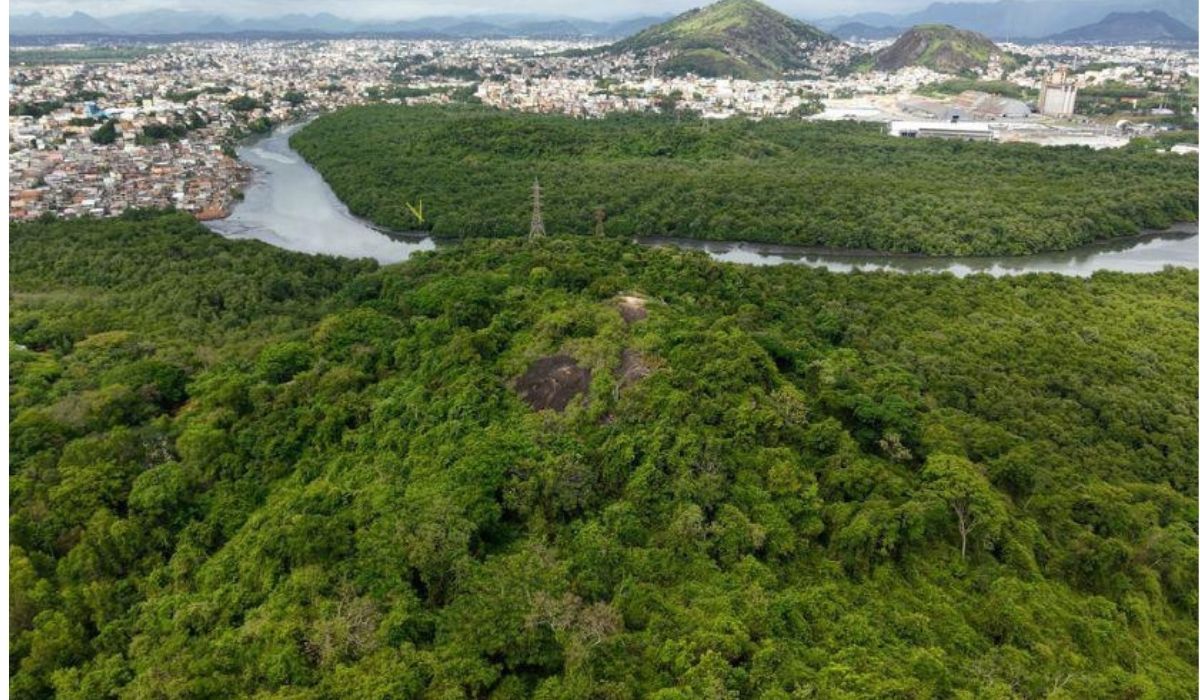 A unidade preserva os 168 hectares de Mata Atlântica e manguezal, agora com padrão operacional definido. Foto: Danilo Martins