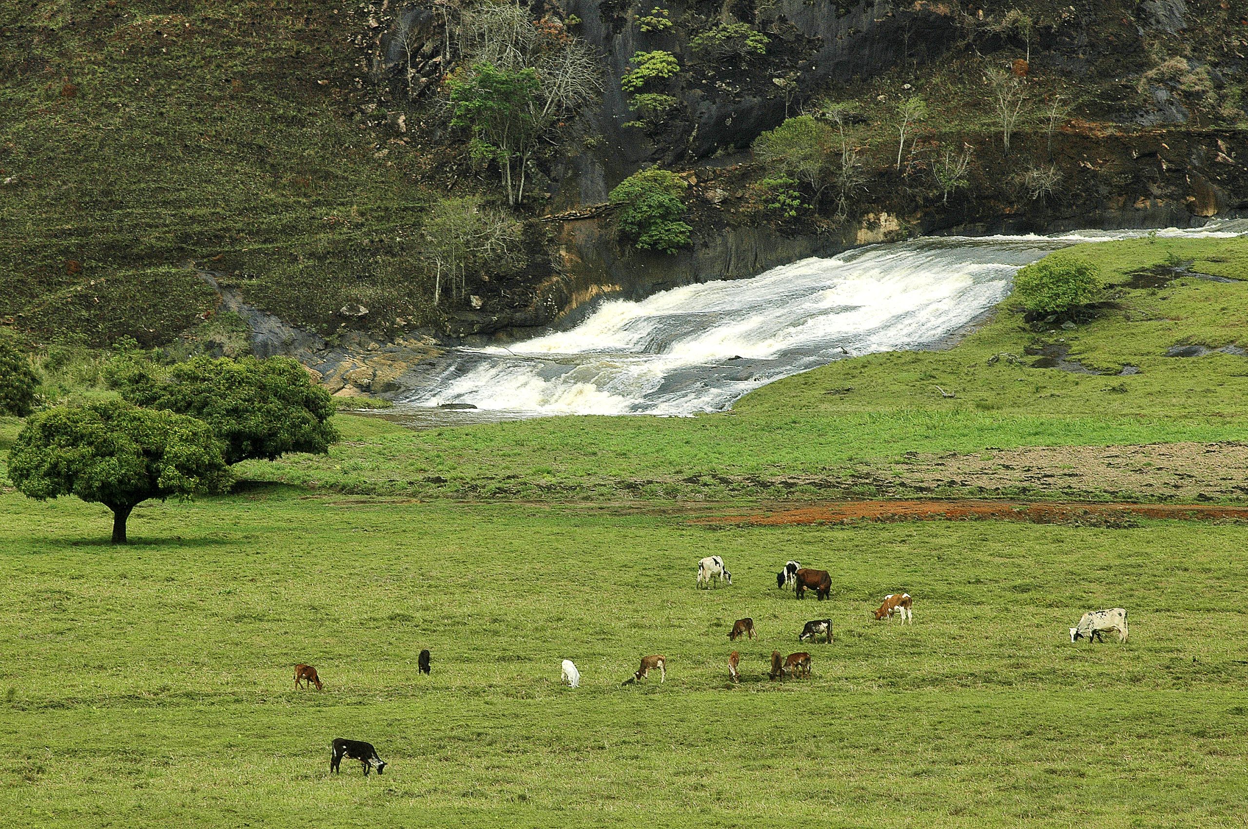Dores do Rio Preto - Cachoeira Cambuca. Foto: MTur / Tadeu Bianconi