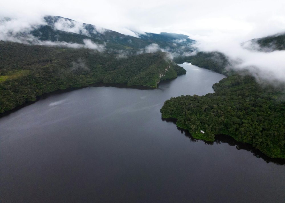 Imazon: 62% da exploração madeireira no Amazonas é ilegal. A área irregular cresceu 9%, concentrada em Boca do Acre e Lábrea, invadindo terras protegidas - Foto: Edwin Malca Cerna