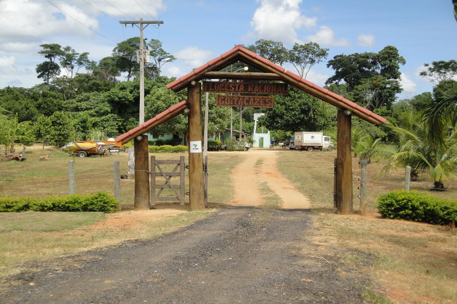 Conheça a Floresta Nacional de Goytacazes, em Linhares