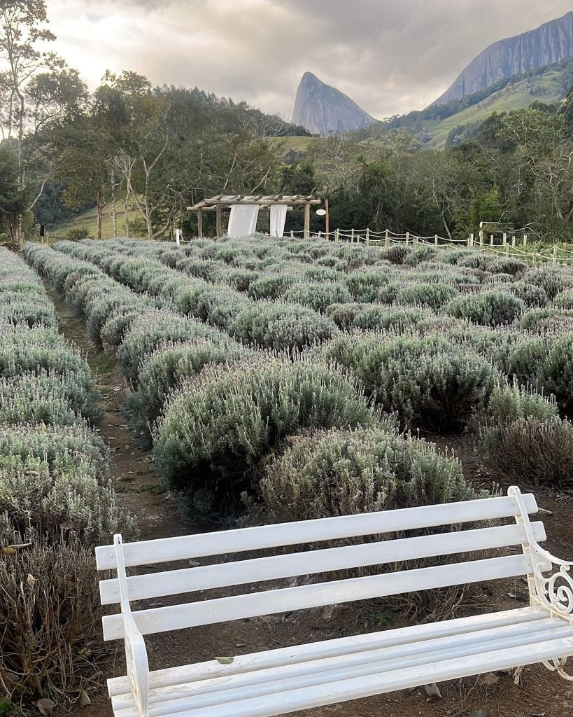 Lavandário Pedra Azul: aromas, cores e tranquilidade na serra capixaba