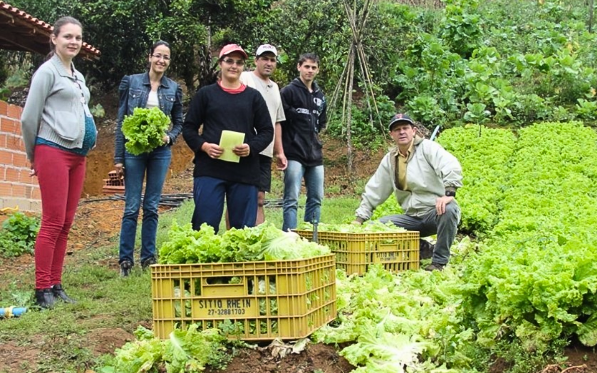 Foto: Seag/Governo do ES