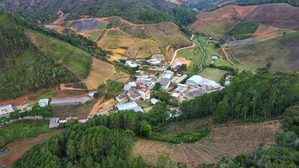 Rota do Inhame: sabores, tradição e vida no campo