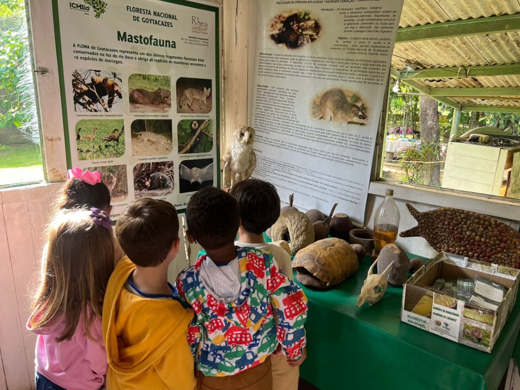 Conheça a Floresta Nacional de Goytacazes, em Linhares