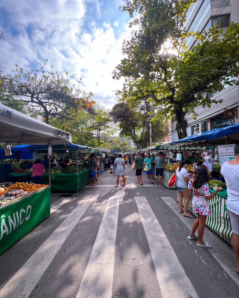 Parque das Castanheiras: o coração vibrante da Praia da Costa