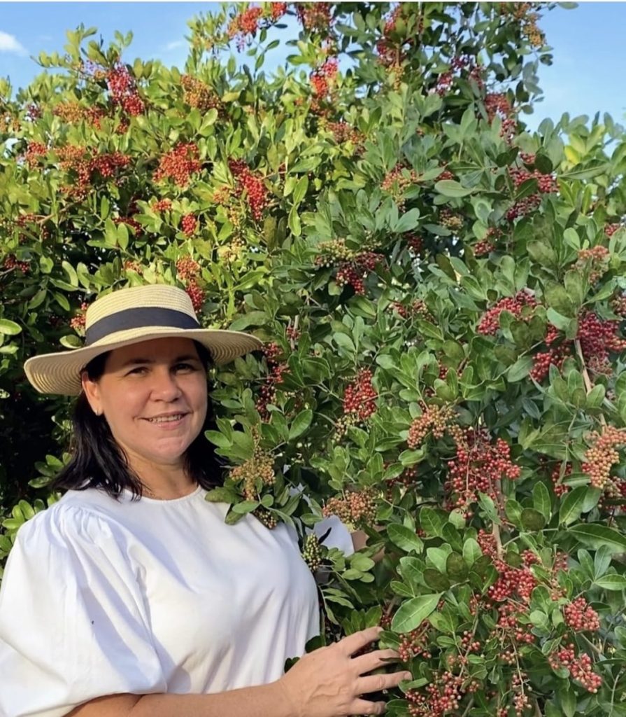 Rota das Especiarias: sabores e aromas que contam a história de São Mateus