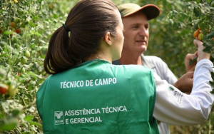Reforma tributária: conheça app que orienta o produtor rural Reforma tributária: conheça app que orienta o produtor rural
