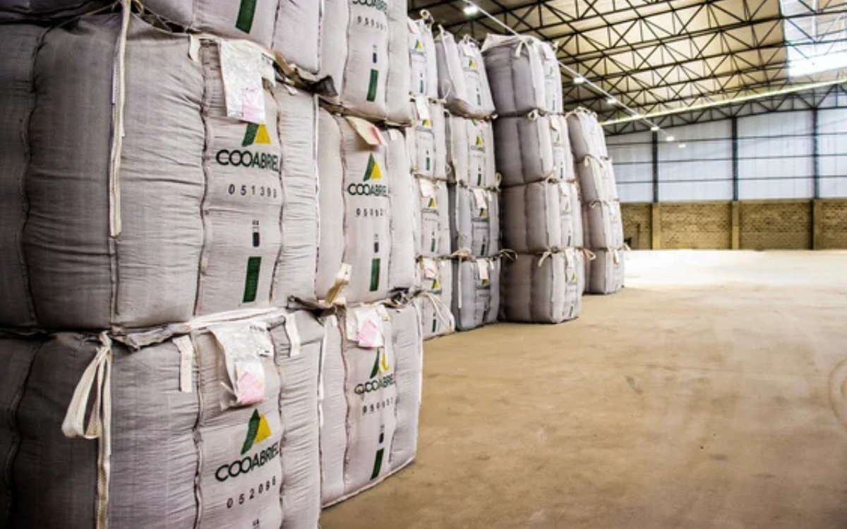 Cooperativas produtoras de café conilon agora têm incentivo fiscal para comercializar com outros estados brasileiros. Foto: Divulgação/Cooabriel