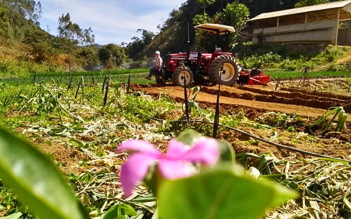 O produtor rural deve organizar gestão de imóveis devido às mudanças com a Reforma Tributária. Foto: Seag/Governo do ES