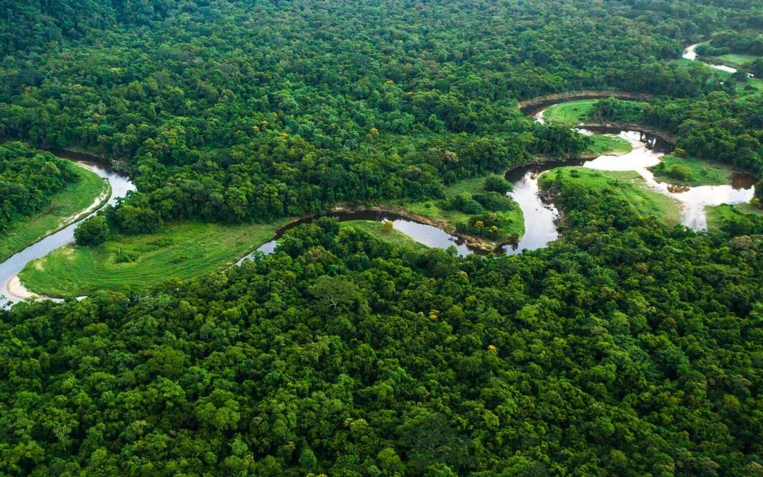 Ministro André Mendonça pressiona União por medidas contra desmatamento na Amazônia.
