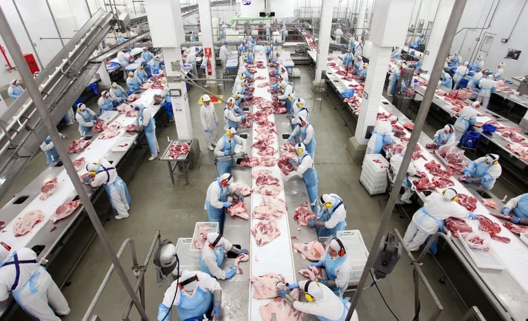 Exportação de carne bovina do Brasil atinge 278 mil toneladas em janeiro de 2026. Foto: Mapa/Divulgação