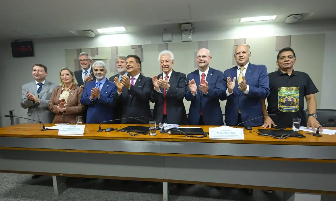 Representação Brasileira no Parlasul aprova acordo de comércio entre Mercosul e União Europeia.