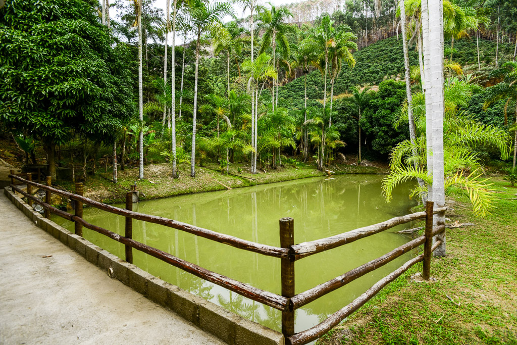 Agroturismo em Brejetuba: sabores da roça e paisagens da Região Serrana Agroturismo em Brejetuba: sabores da roça e paisagens da Região Serrana