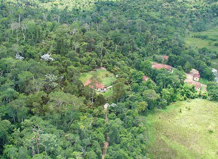Conheça a Reserva Biológica do Córrego do Veado