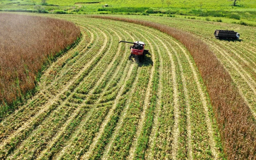 Ministro da Agricultura anuncia acordo entre Brasil e Bolívia para harmonização comercial.