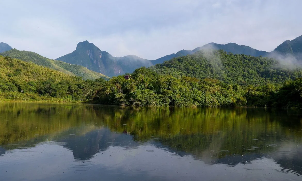 Análise da qualidade da água em rios da Mata Atlântica mostra resultados preocupantes.
