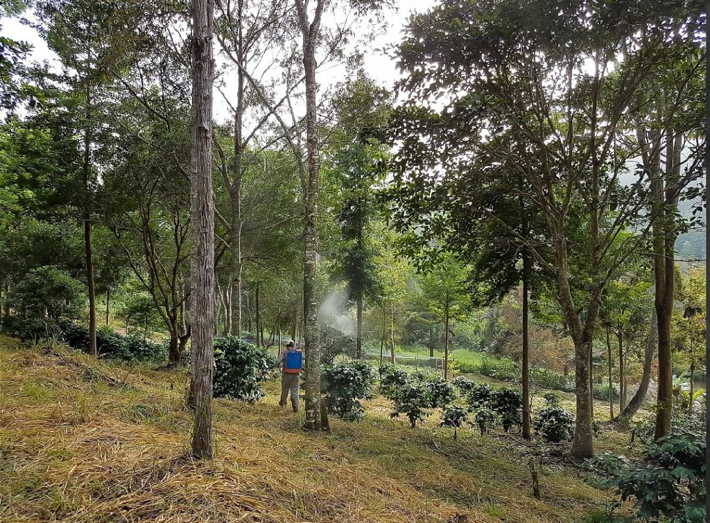 Sabores e experiências na charmosa Rota do Carmo, em Pedra Azul