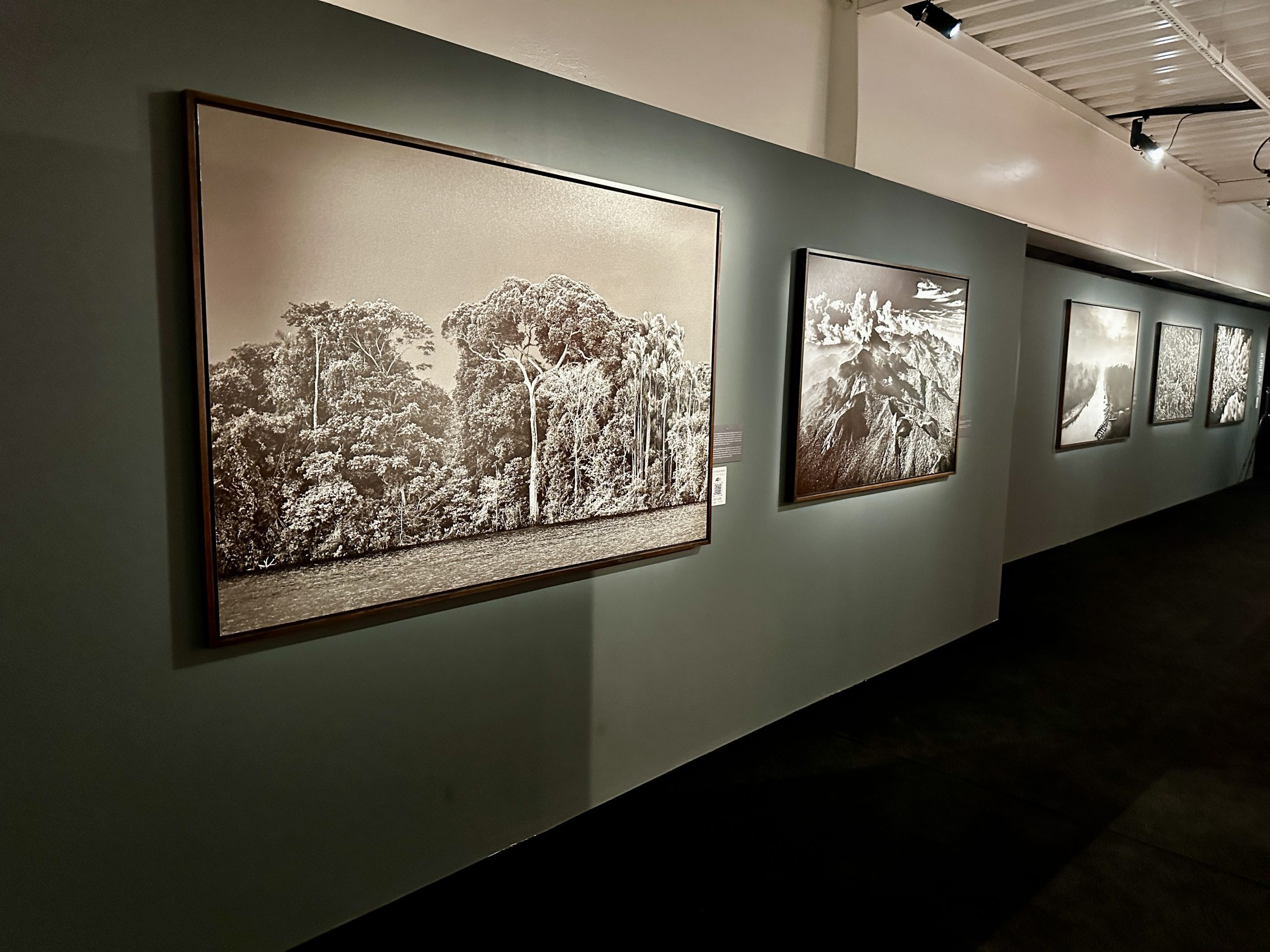 &nbsp;Exposição "Amazônia", de Sebastião Salgado, já está aberta à visitação no Cais das Artes. Foto: Thamiris Guidoni