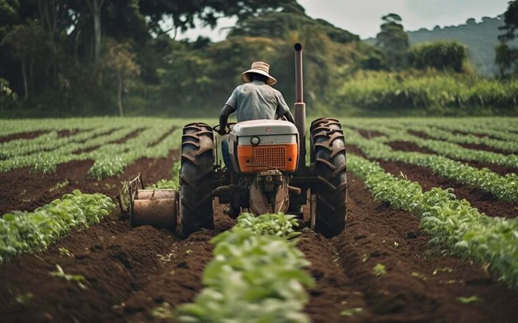 Presidente Lula fala sobre sofisticação dos produtos agrícolas em evento da Embrapa.