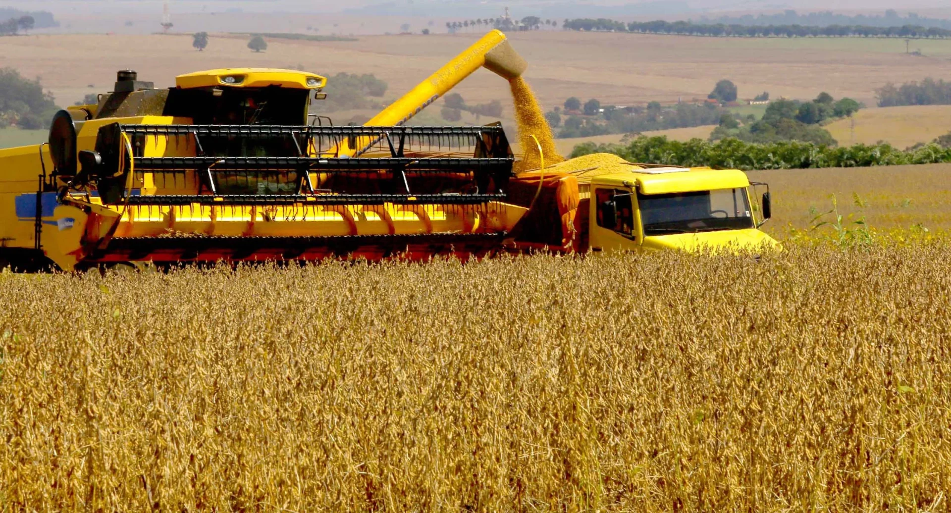 Exportação agropecuária do Brasil atinge recorde no primeiro trimestre de 2023.
