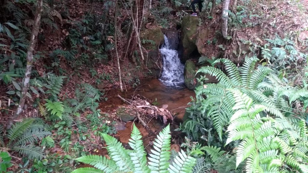 Conheça Iracema e Iraceminha, quedas d'água em Alfredo Chaves