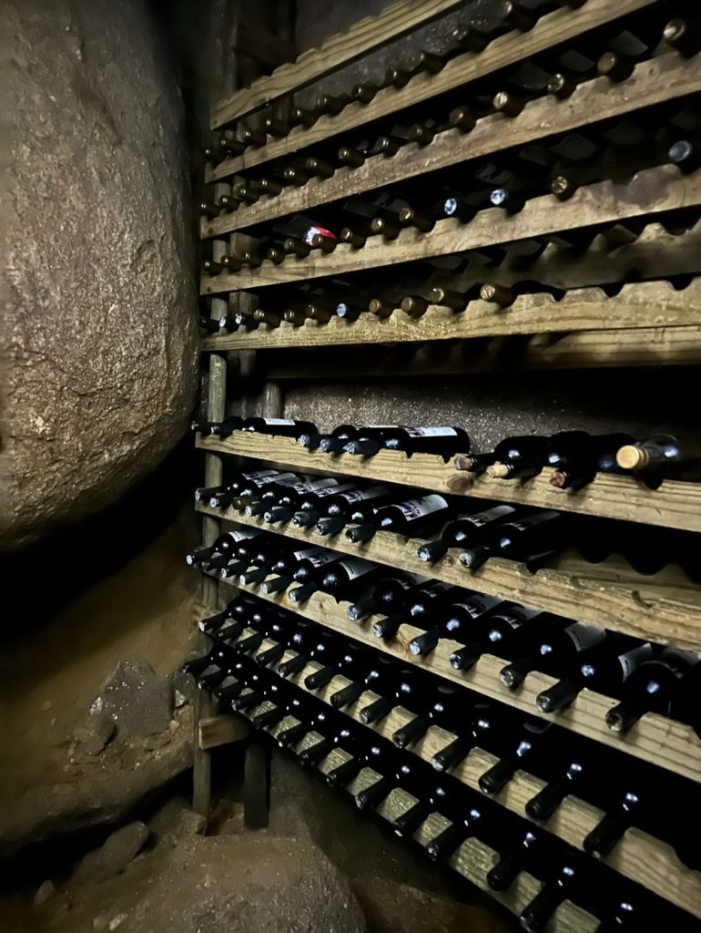 Descubra a Rota das Cavernas e Plantas Medicinais de Aracê Descubra a Rota das Cavernas e Plantas Medicinais de Aracê