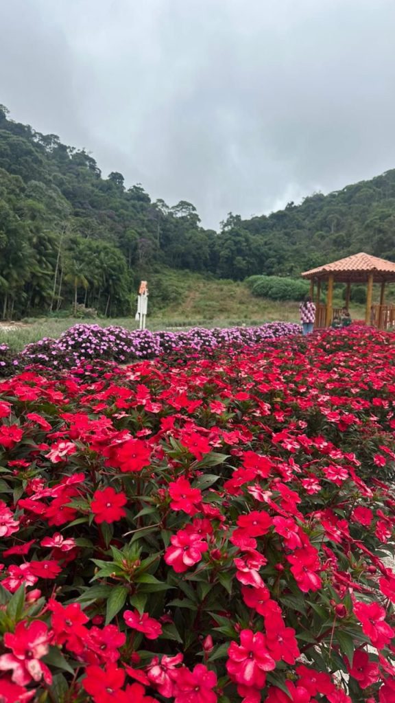 Beijandário é destino encantador nas Montanhas Capixabas