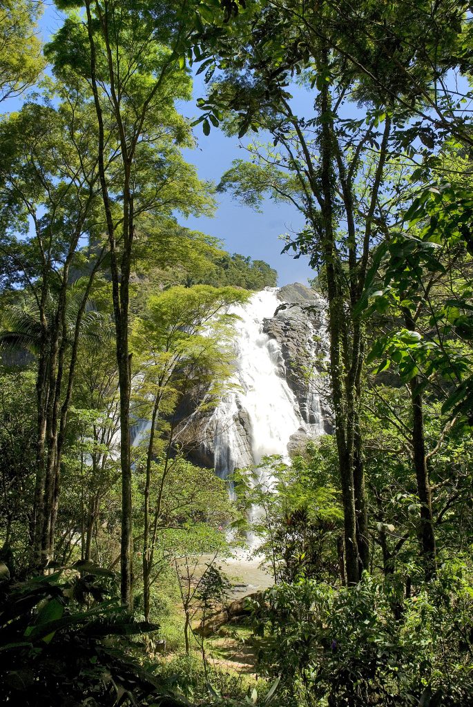 Quatro roteiros a partir do Parque Nacional do Caparaó Quatro roteiros a partir do Parque Nacional do Caparaó