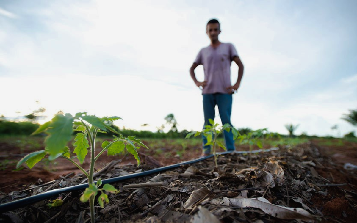 Sesp será responsável por acompanhar e mediar disputas de terra no ES. Foto: Marcelo Camargo/Agência Brasil