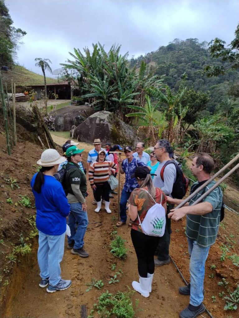 Descubra a Rota das Cavernas e Plantas Medicinais de Aracê Descubra a Rota das Cavernas e Plantas Medicinais de Aracê