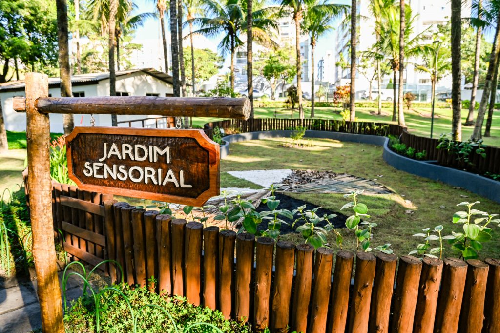 Parque Municipal da Fazendinha: refúgio verde em meio à capital capixaba