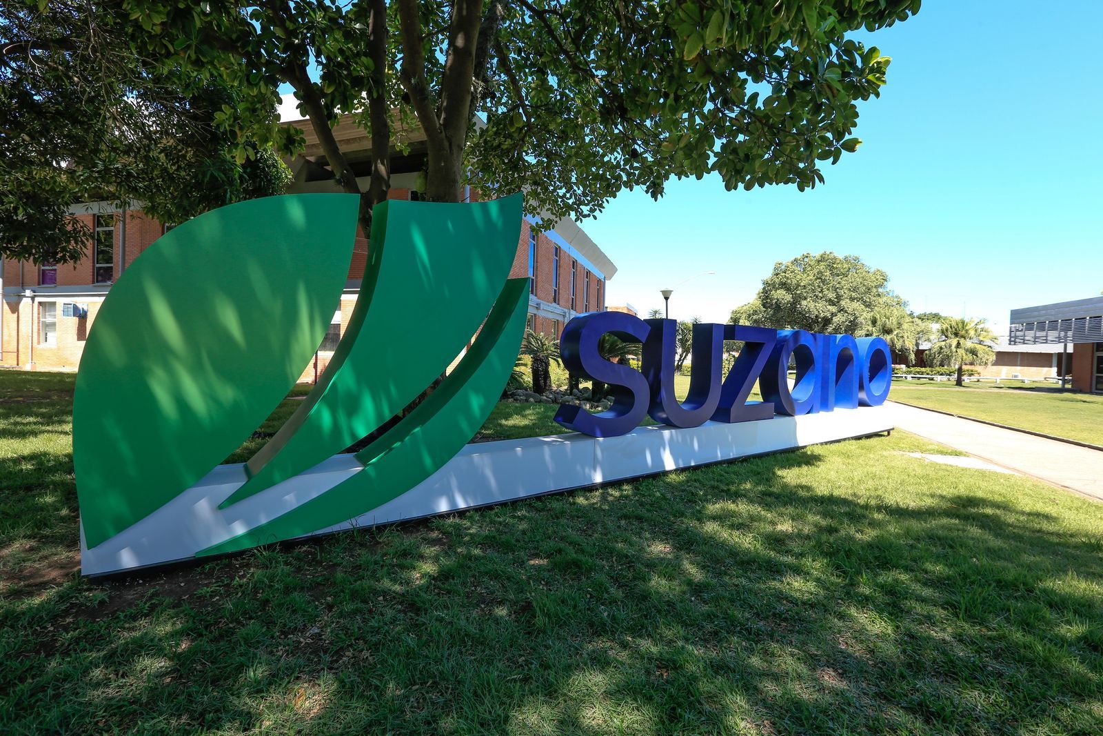 Suzano