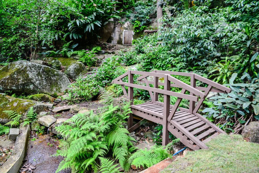 Parque Municipal Gruta da Onça: natureza e história na capital capixaba Parque Municipal Gruta da Onça: natureza e história na capital capixaba