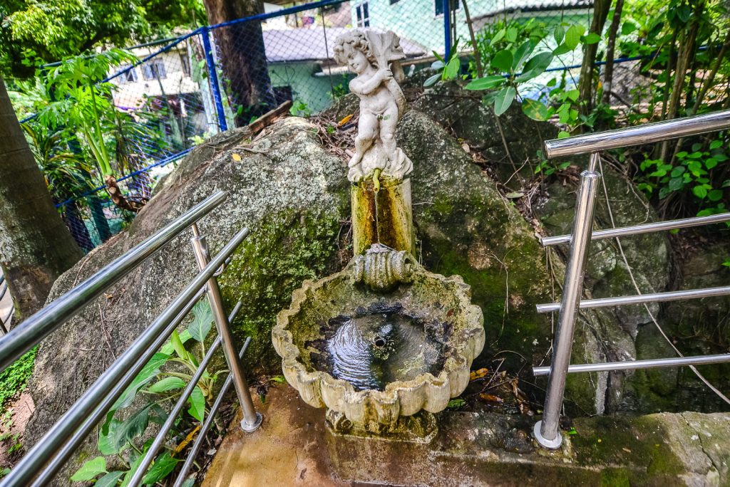 Parque Municipal Gruta da Onça: natureza e história na capital capixaba Parque Municipal Gruta da Onça: natureza e história na capital capixaba
